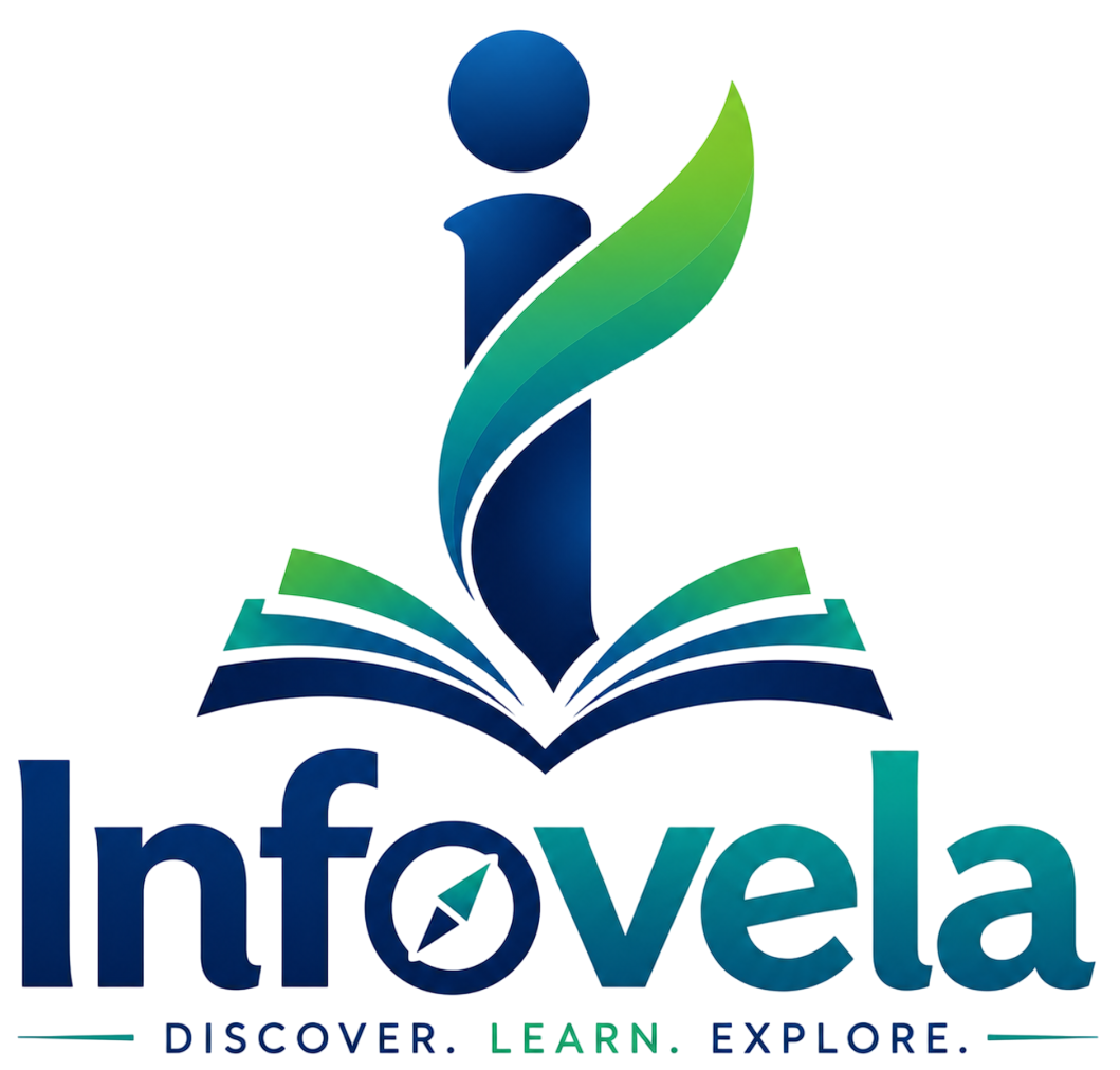 Infovela logo